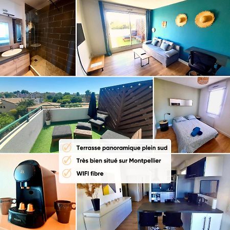Апартаменты Terrasse De La Pompignane - T2 Lumineux Plein Sud Монпелье Экстерьер фото